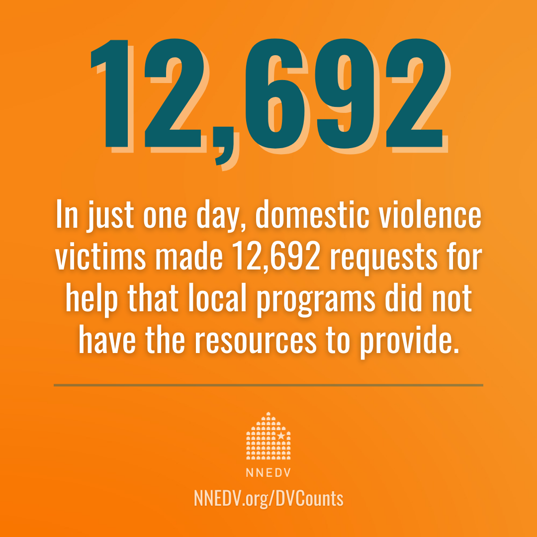 17th Annual Domestic Violence Counts Survey